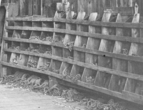 WSLCo Shelves.jpg -39131 Bytes